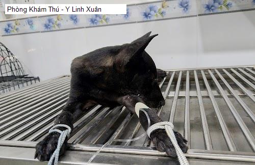 Hình ảnh Phòng Khám Thú - Y Linh Xuân