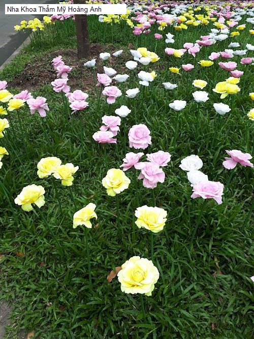 Hình ảnh Nha Khoa Thẩm Mỹ Hoàng Anh