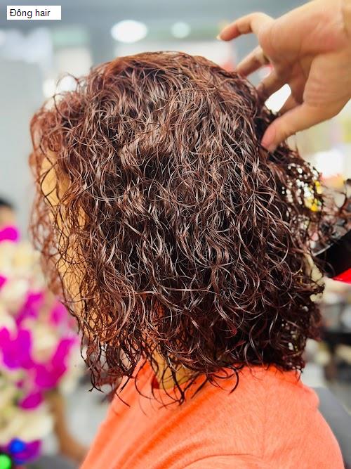 Hình ảnh Đông hair
