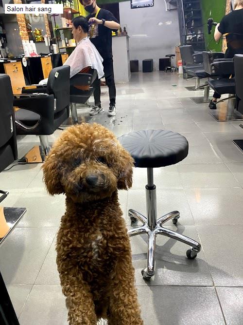 Hình ảnh Salon hair sang